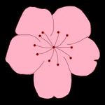 WWW,249av·COM网站APPAPP应用